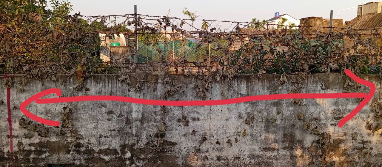 Đất nền Giao Phúc 156m² giá 1 tỷ - Đầu tư sinh lời tiềm năng!