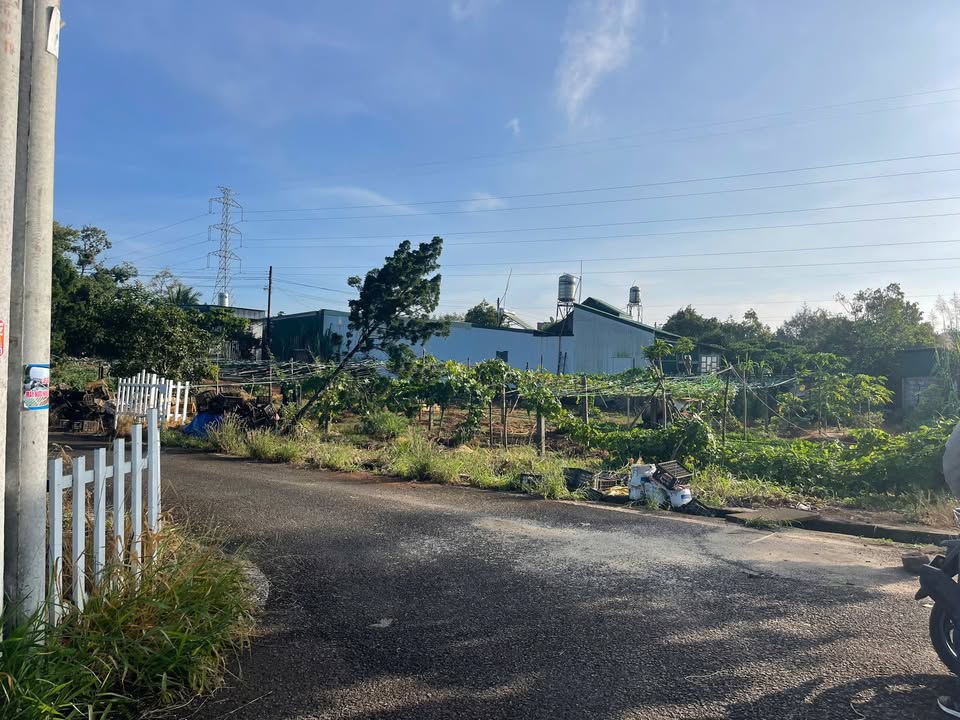 Đất nền Biệt thự Lộc Sơn Bảo Lộc 364m² giá 1.65 tỷ - Đầu tư lý tưởng cho nghỉ dưỡng!