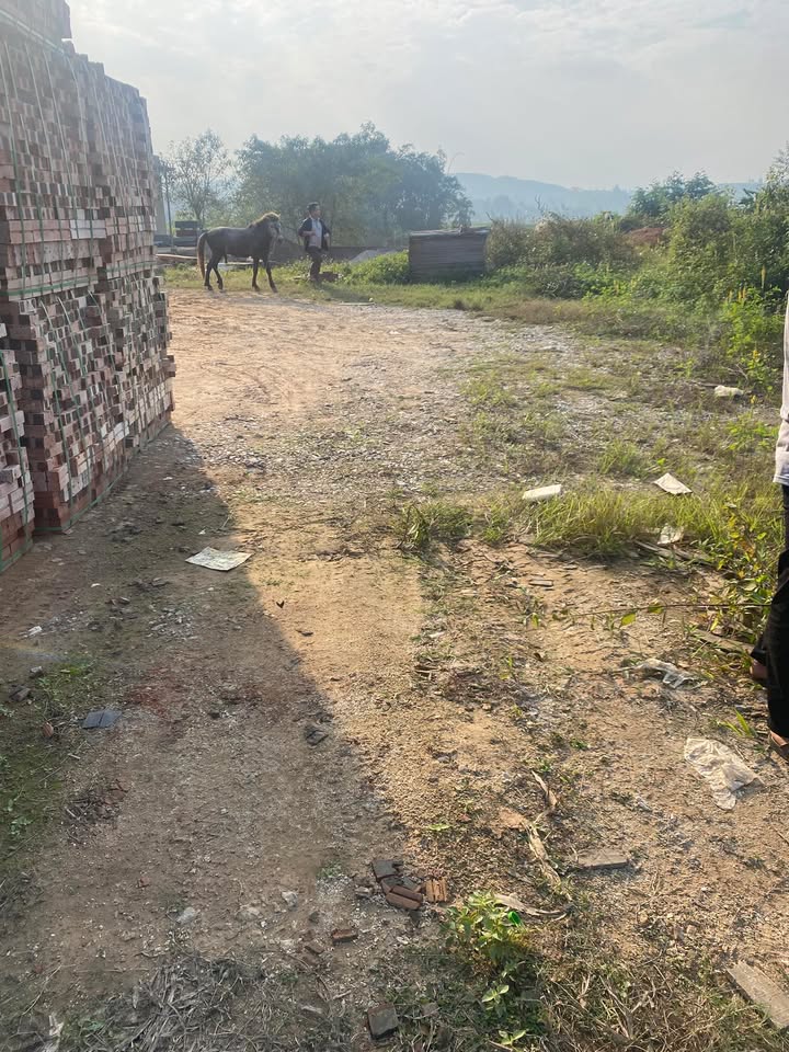 Đất chính chủ Văn Miếu 200m² giá 2 tỷ - Sổ đỏ đầy đủ!