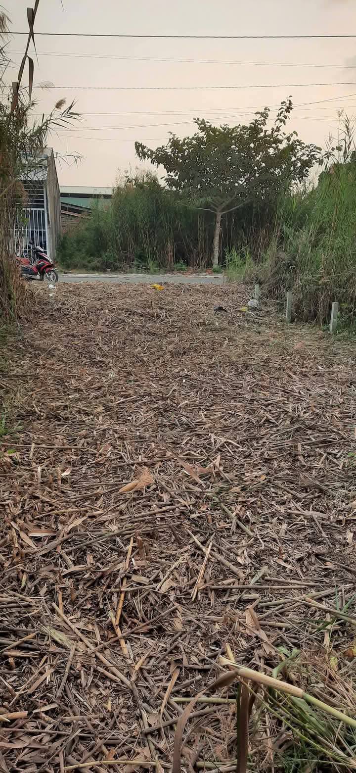 Đất nền Tân Hạnh Long Hồ 99m² giá 1 tỷ - Gần QL1A, thương lượng tốt!