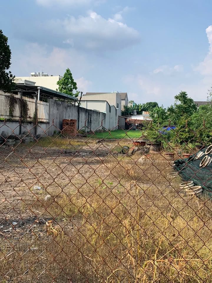 Đất mặt tiền hẻm karaoke Thiên Thai Phú Hòa 885.5m² giá 1 tỷ - Đầu tư sinh lời!