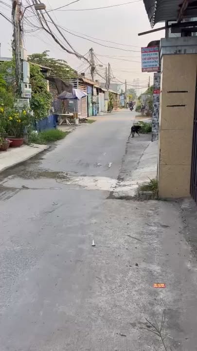 Đất nền chính chủ tại xã Mỹ Hạnh Nam, Long An 403m² - Giá chỉ 3.5 tỷ, đầu tư sinh lời!