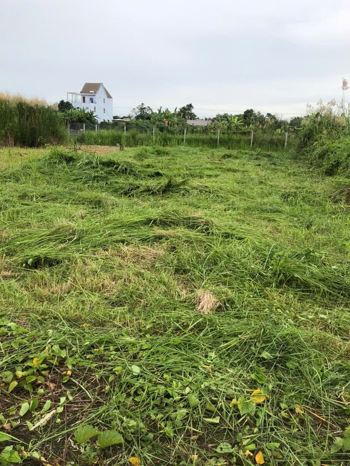 Đất nền liền kề Phước Hậu 280m² giá 1.1 tỷ - Đầu tư sinh lời nhanh!