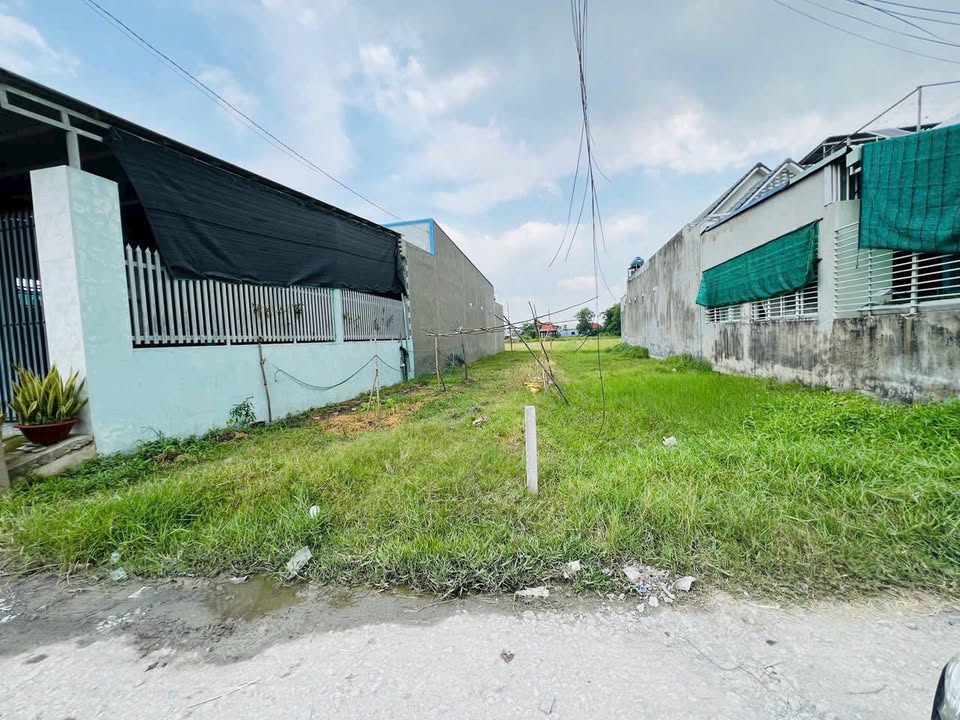 Đất nền Mỹ Hạnh Nam, Đức Hòa 160m² giá chỉ 1.3 tỷ - Sổ hồng riêng, thương lượng ngay!