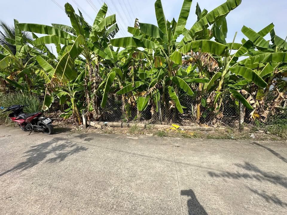 Đất thổ cư 224m² Nhựt Chánh, Bến Lức - Giảm giá sốc chỉ còn 1.55 tỷ!