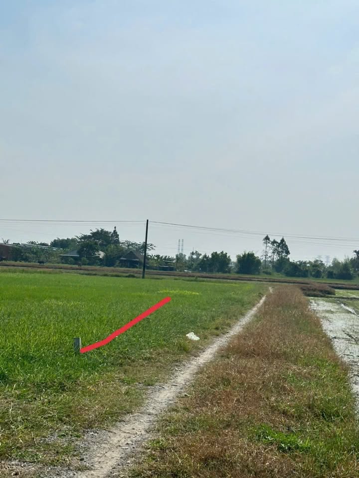 Đất thổ cư Đức Hòa Thượng 184m² giá chỉ 900 triệu - Đầu tư sinh lời ngay!