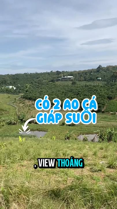 Đất thổ cư Bảo Lộc 2.473m² giá 5 tỷ - View thoáng lý tưởng cho nghỉ dưỡng!