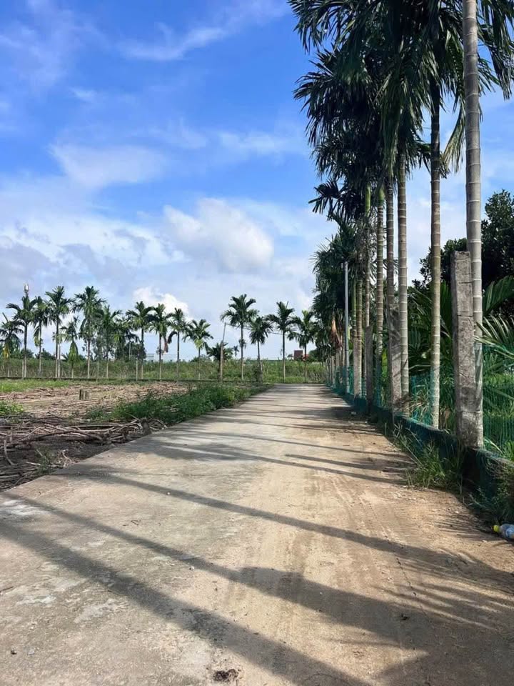 Đất Tịnh Ấn Tây Quảng Ngãi 135m² giá 500 triệu - Đường ô tô thông thoáng!