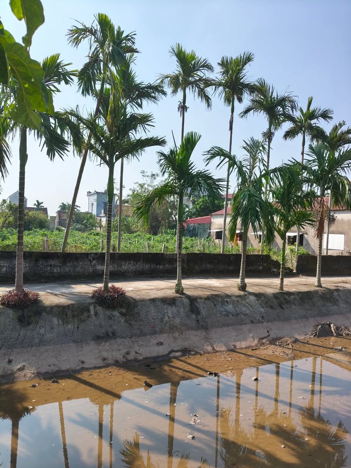 Đất nền Hải Phúc, Hải Hậu 520m² giá chỉ 100 triệu - Đường to thông thoáng!