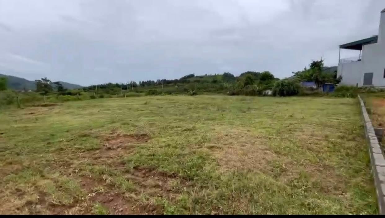 Đất thổ cư 300m² tại Thôn Luộng Lặt, Thạch Thất - Giá 21.413 tỷ, cơ hội đầu tư hiếm có!