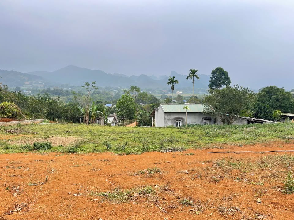 Đất Hợp Phong, Cao Phong, Hòa Bình 3.279m² giá 1 tỷ - Đầu tư lý tưởng!