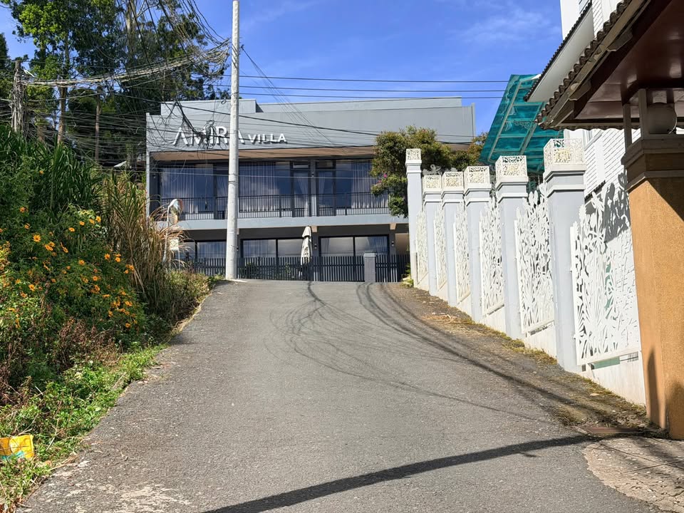 Đất Hẻm Ô Tô Lớn Đường Vạn Hạnh 236m² Giá 10.5 Tỷ - Sổ Riêng Chính Chủ!