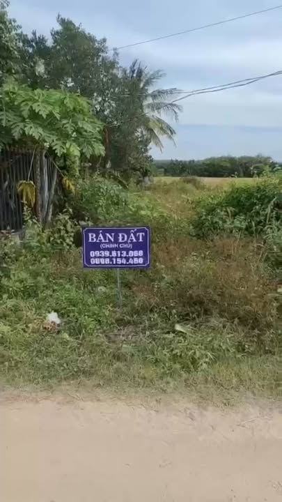 Đất Lộc Ninh, Dương Minh Châu 162,5m² giá 790 triệu - Sổ đỏ chính chủ sẵn sàng giao dịch!