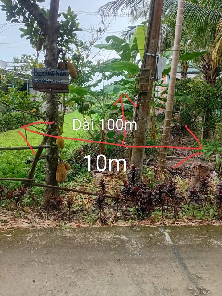 Đất nền Phụng Hiệp Hậu Giang 1000m² giá 400 triệu - Cơ hội đầu tư tuyệt vời!