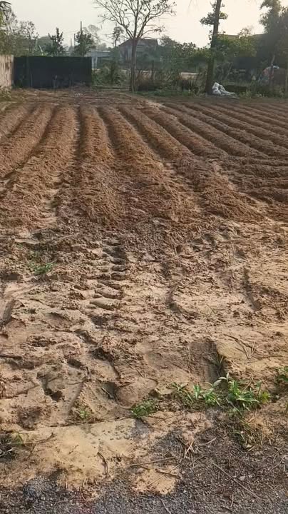 Đất Nền Nghi Trường 123m² giá 1.2 tỷ - Cơ hội đầu tư tuyệt vời!