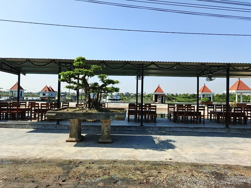 Đất nền Mắt Rồng Thủy Nguyên 200m² giá 3.5 tỷ - Tiềm năng phát triển lớn!