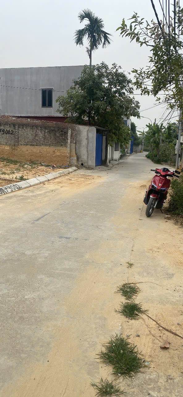 Đất nền An Lão Hải Phòng 109m² giá 1 tỷ - Đường rộng thông thoáng!