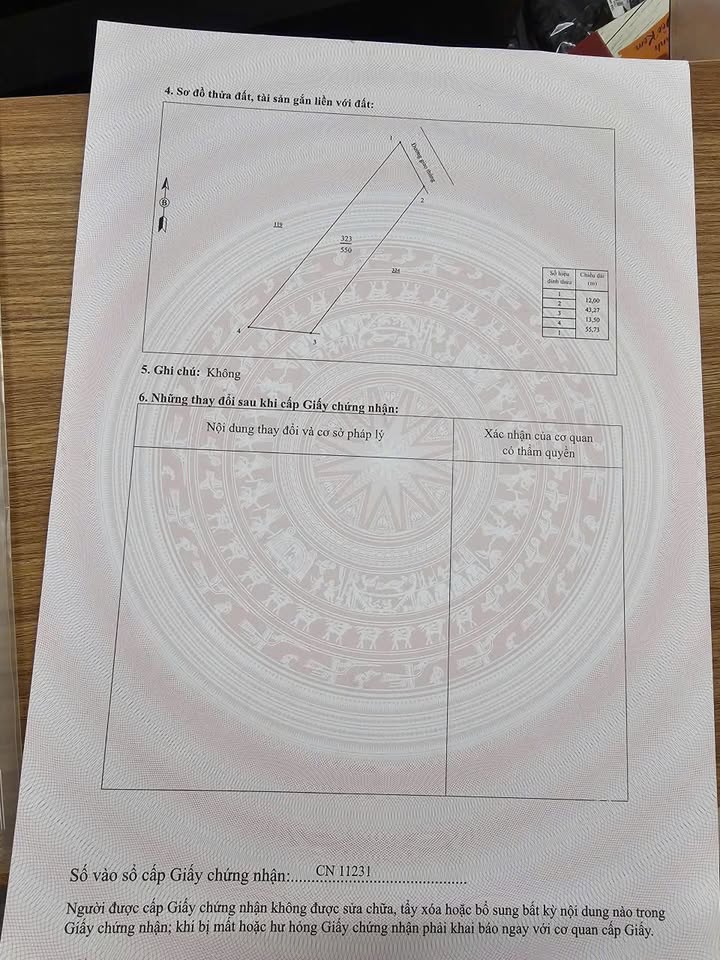 Đất nền Tiên Lương, Cẩm Khê 958m² giá 1 tỷ - Sổ đỏ chính chủ, đầu tư sinh lời!