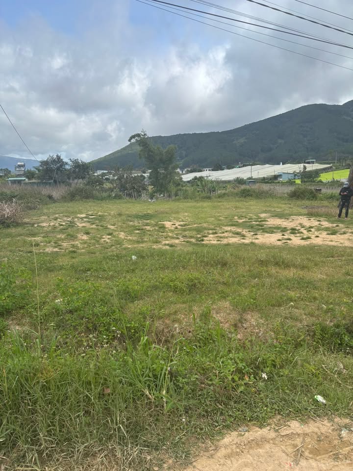 Đất nền xã Tân Hiên, Đơn Dương, Lâm Đồng 1000m² giá 1.45 tỷ - Cơ hội đầu tư tuyệt vời!