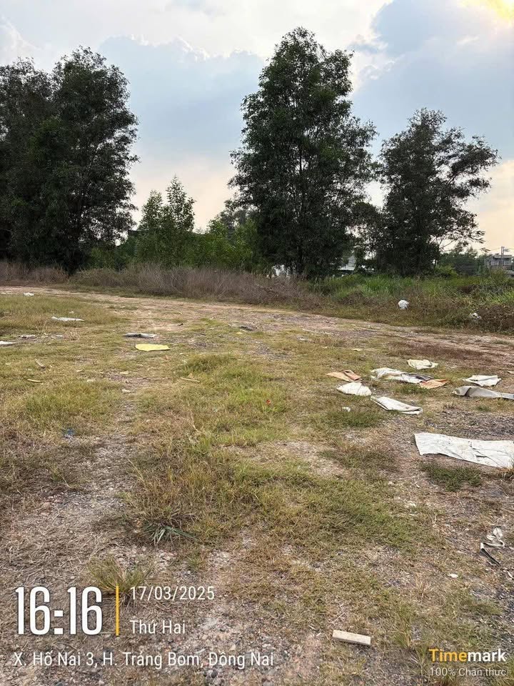 Đất vườn 558m² tại Hố Nai 3, Trảng Bom chỉ 900 triệu - Cơ hội đầu tư hấp dẫn!
