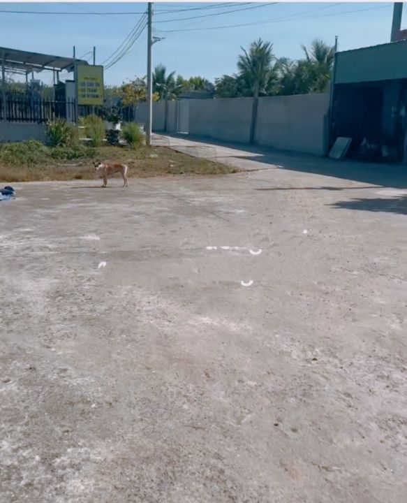 Đất nền Tân Khai Chơn Thành 500m² giá 600 triệu - Đường PE dân cư đông đúc!