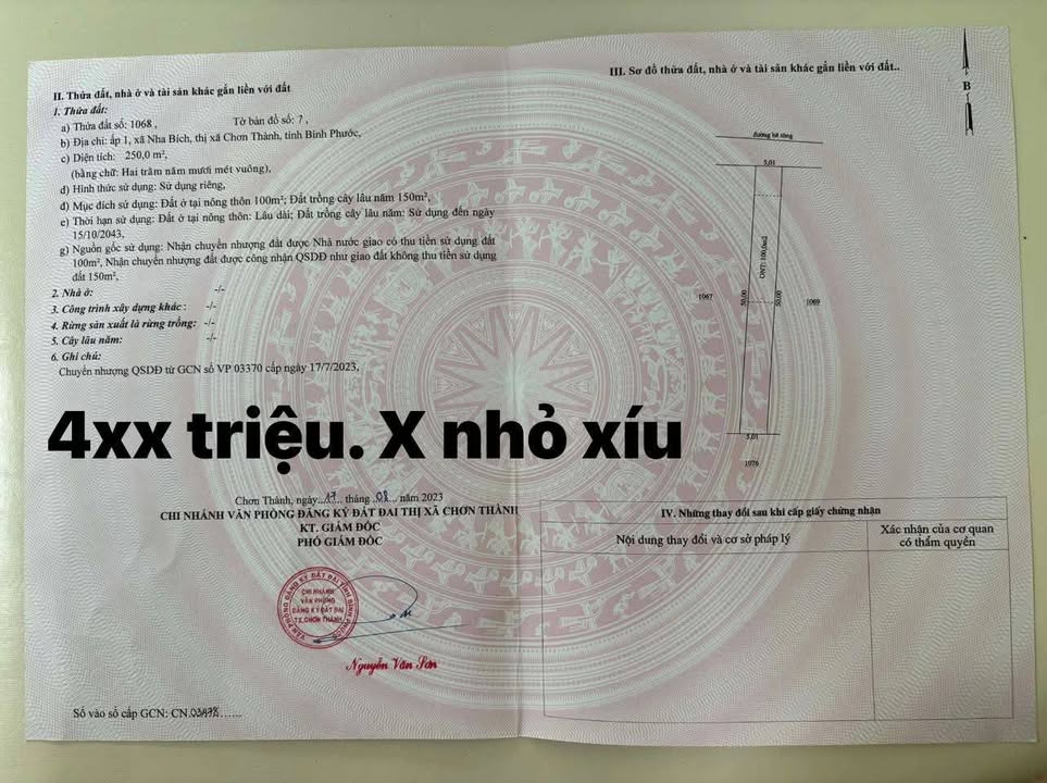 Đất nền Ấp 1 Nha Bích 250m² giá chỉ 400 triệu - Cơ hội đầu tư tuyệt vời!