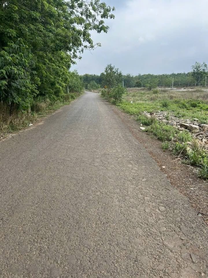 Đất nền 3 sào Phước An, Chơn Thành, 10,800m² giá thỏa thuận - Cơ hội đầu tư hấp dẫn!