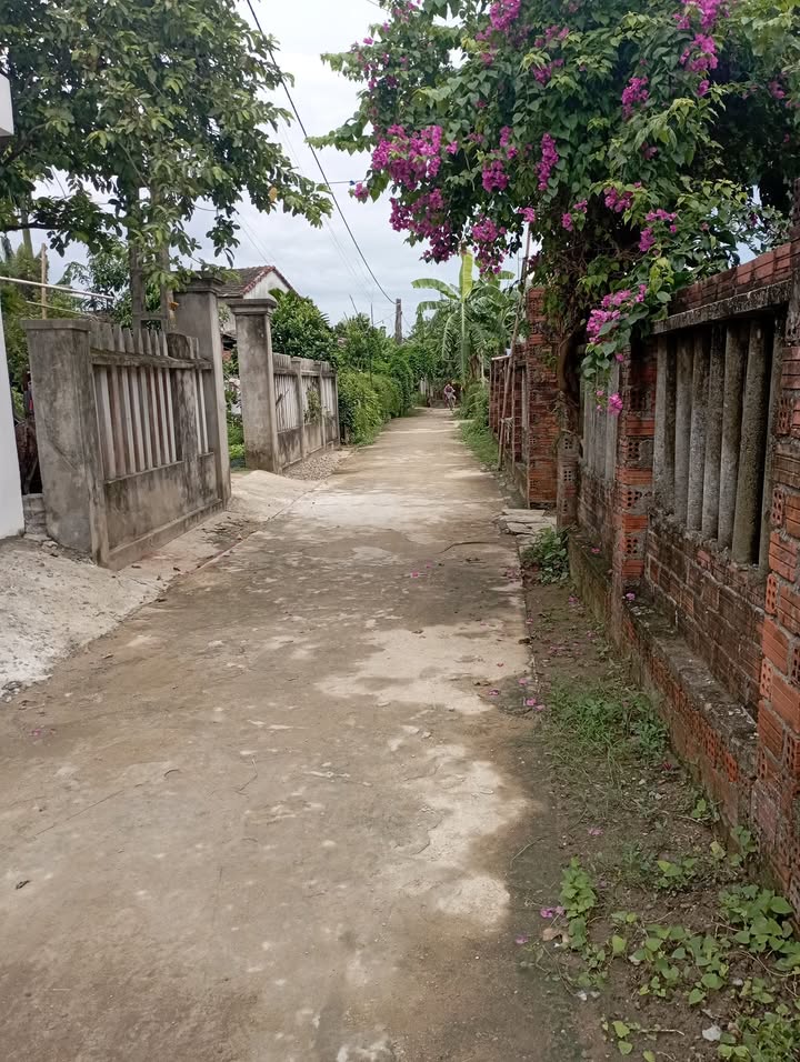 Đất nền khu Hoán Mỹ, Ái Nghĩa, 125m² giá thỏa thuận - Đường bê tông thông thoáng!