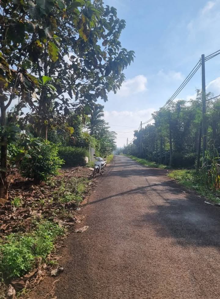 Đất Hòa Xuân Buôn Ma Thuột 2400m² giá 1.55 tỷ - Cơ hội đầu tư tuyệt vời!