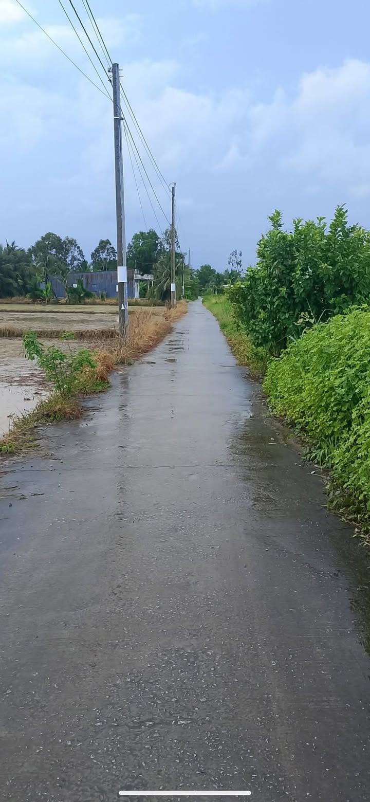 Đất nền 5000m² tại Vĩnh Mỹ B, Hòa Bình, Bạc Liêu - Giá chỉ 1.25 tỷ, cơ hội đầu tư hấp dẫn!