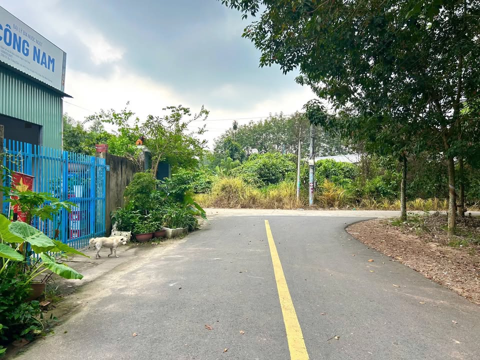 Đất nền Vĩnh Hoà Phú Giáo 140m² giá 799 triệu - Gần khu dân cư đông đúc!