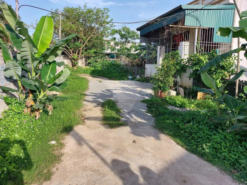 Đất nền phường Quảng Phú, Thanh Hóa 96m² giá chỉ 9xx triệu - Cơ hội đầu tư tuyệt vời!