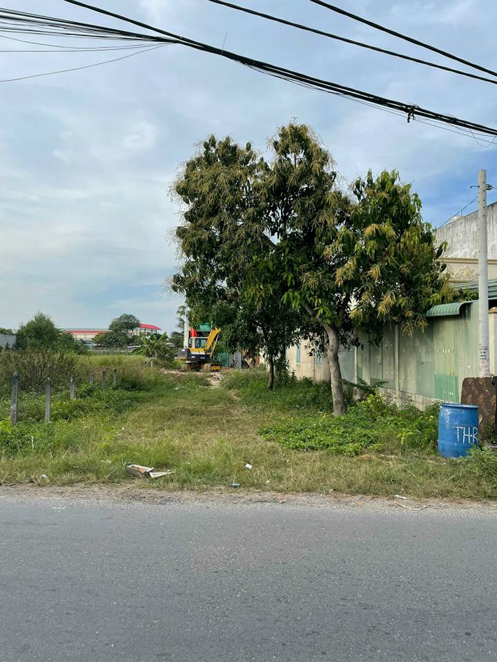 Đất nền Tân Thông Hội 160m² giá 3.25 tỷ - Vị trí kinh doanh lý tưởng!