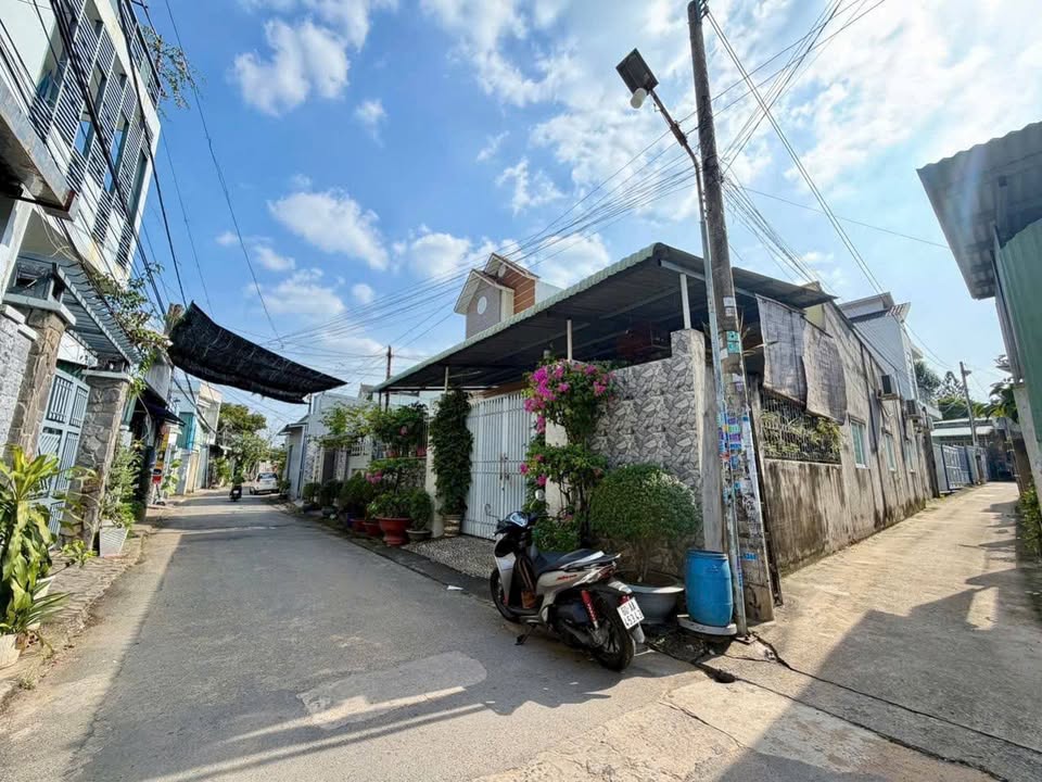 Lô đất Tân Phong 81.6m² giá chỉ 1.95 tỷ - Đầu tư sinh lời ngay!