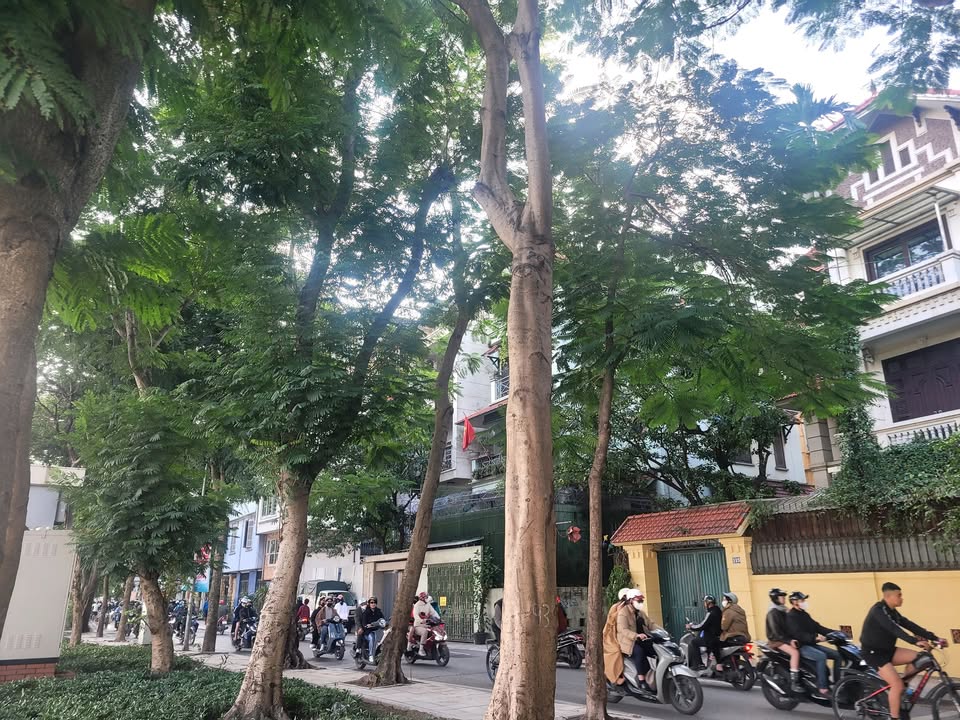 FrontHouse Mặt Phố Nhật Chiêu 135m² giá 105 tỷ - Cơ hội đầu tư tuyệt vời!