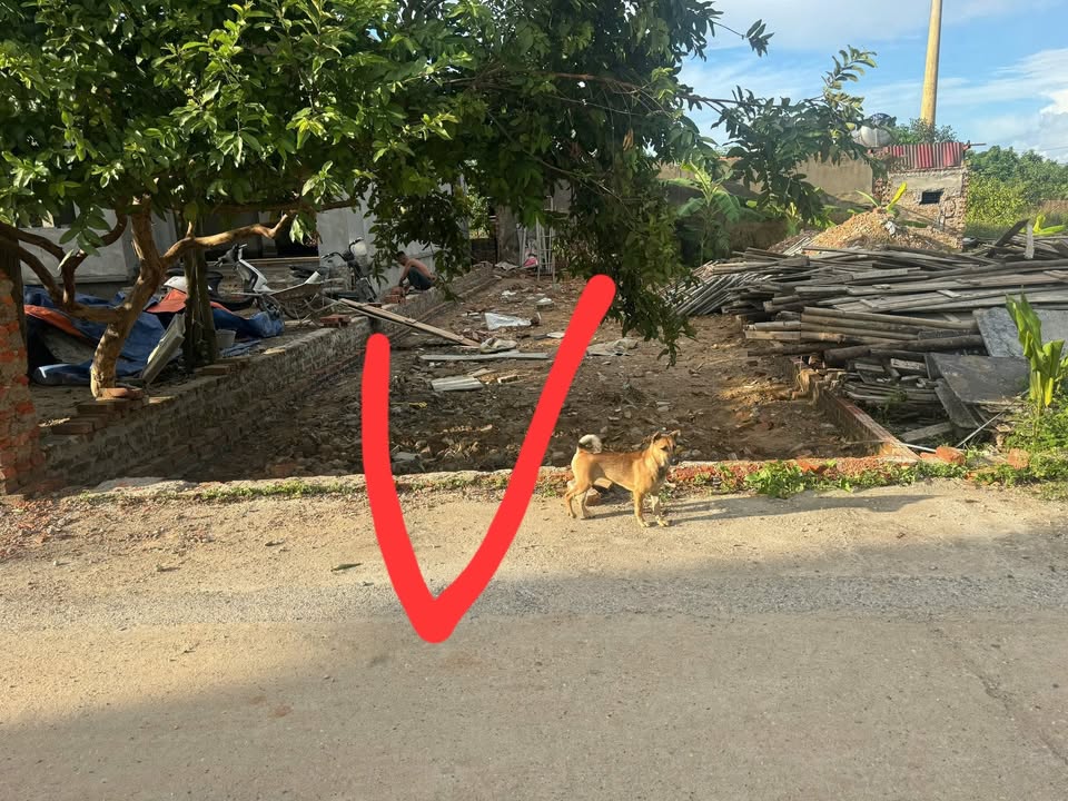 Đất thổ cư 93m² thôn Xuân Đồng, Tân Minh, Sóc Sơn chỉ 2 tỷ - Pháp lý chuẩn, tiện ích đầy đủ!