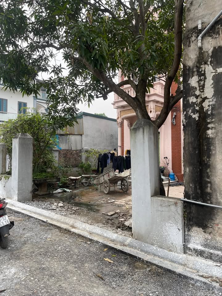 Đất nền Thư Lâm, Đông Anh 196m² giá 6 tỷ - Đường Yên ô tô tránh nhau