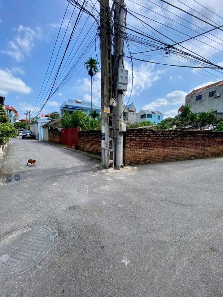 Đất Lễ Pháp Tiên Dương 248m² giá 9x triệu - Đầu tư sinh lời tuyệt vời!