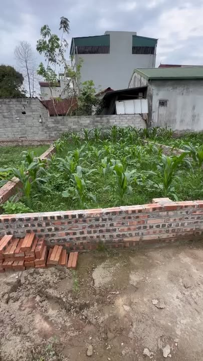 Đất nền Mai Hiên, Đông Anh 42.6m² giá 4 tỷ - Sổ hồng chính chủ, ô tô đỗ cửa!