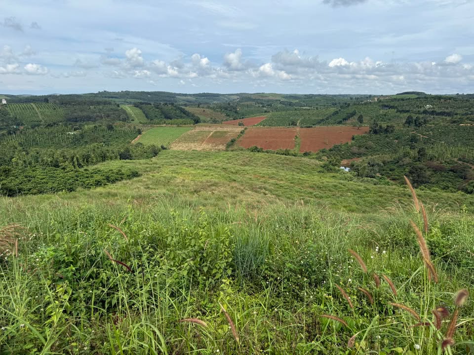 Đất nền Đắk Sin 1ha giá 1.6 tỷ - Cơ hội đầu tư hấp dẫn!