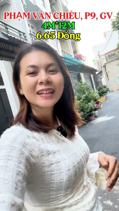 Nhà phố Gò Vấp 48m² giá 6.65 tỷ - Hẻm ô tô, gần công viên Làng Hoa