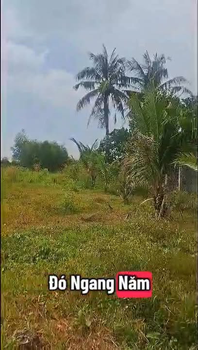 Đất thổ cư Phước Đông, Gò Dầu 155m² giá 400 triệu - Đầu tư sinh lời ngay!