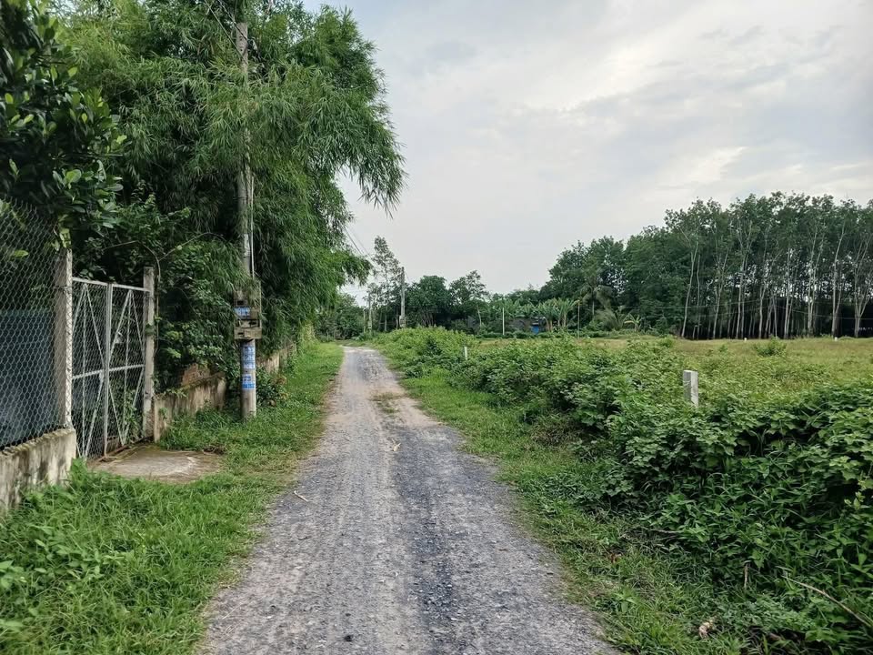 Đất cây hàng năm Trảng Bàng Tây Ninh 780m² giá 600 triệu - Bán gấp chính chủ!