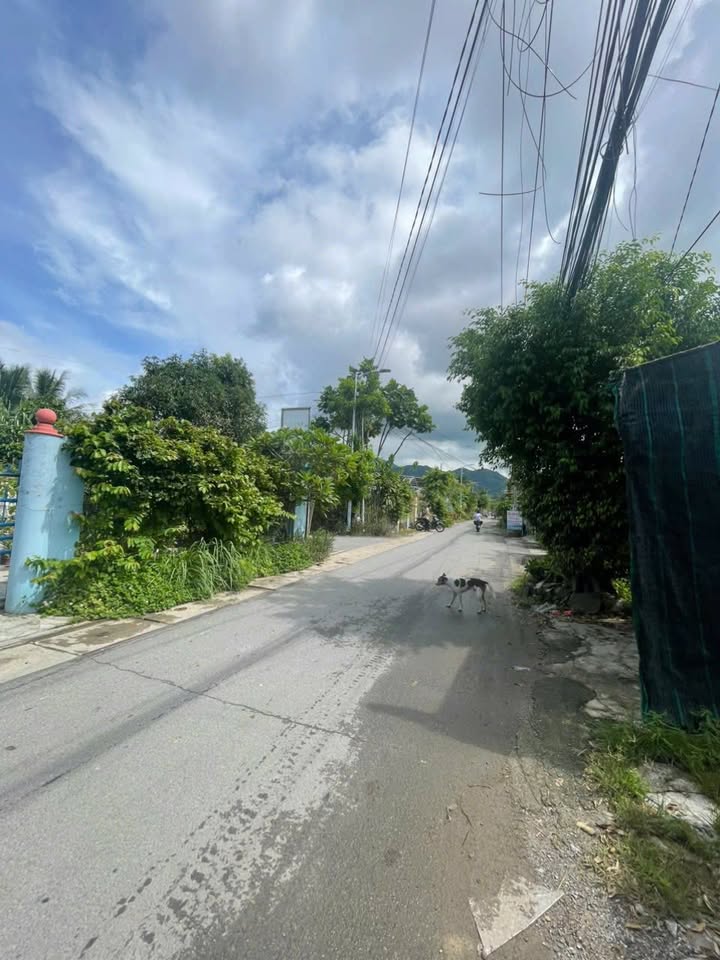 Đất Diên Điền Diên Khánh 156,1m² giá 1,85 tỷ - Giảm ngay 150 triệu!