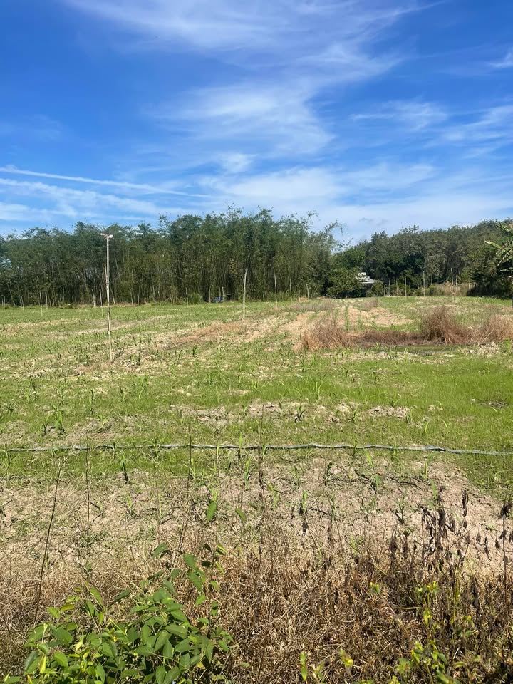 Đất nền Suối Cao Xuân Lộc 2700m² giá 675 triệu - Đầu tư sinh lời ngay!