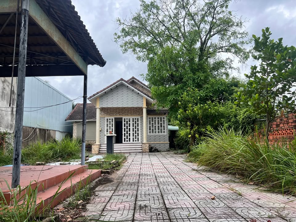 Farm tại Bình Mỹ, Củ Chi 500m² - Pháp lý chuẩn, giá tốt cho nhà đầu tư!