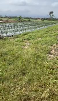 Đất vườn Bình Tân 1400m² giá chỉ 1xx triệu - Đầu tư sinh lời lâu dài!