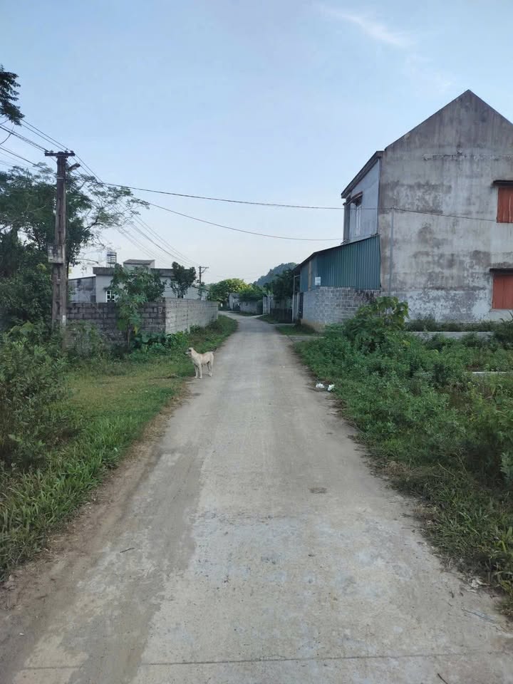 Đất nền Yên Trị, Yên Thủy 137m² giá chỉ 400 triệu - Tiềm năng đầu tư cao!