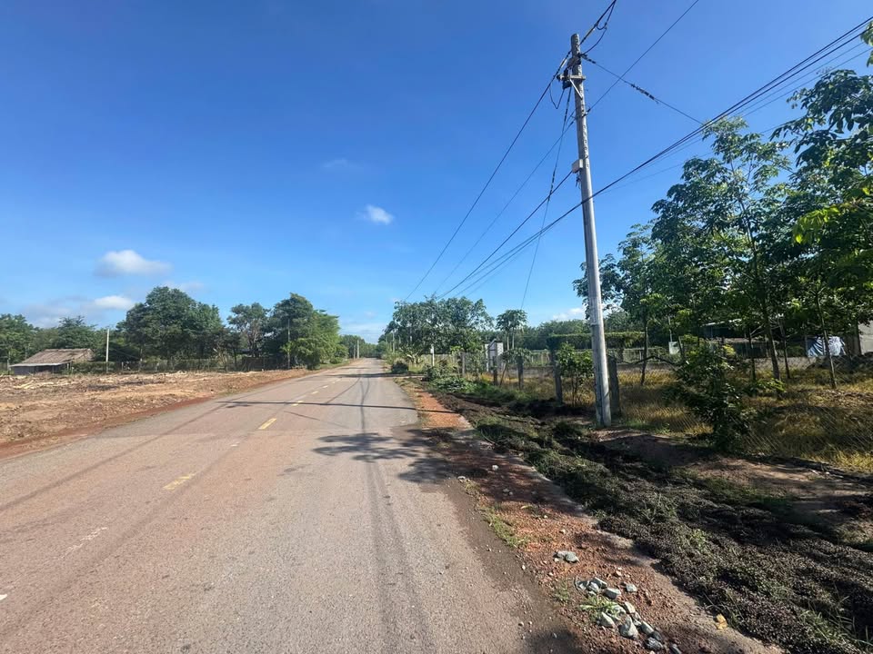 Đất nền 500m² đường DH611, Bàu Bàng, Bình Dương giá 1 tỷ - Cơ hội đầu tư sinh lời!