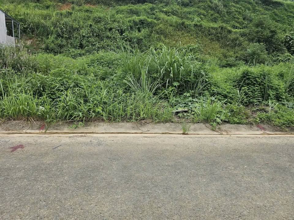 Đất nền Thôn 3 Đồng Tuyển 100m² giá 1.4 tỷ - Vị trí đắc địa, dễ dàng kết nối giao thông!